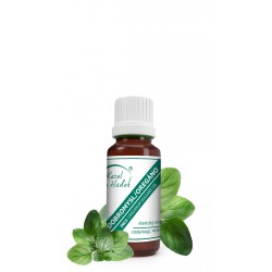 Oregano (dobromysl) -...